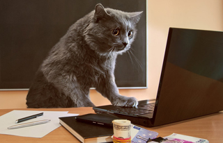 企业网站制作怎样赢得更多的忠实用户？ 